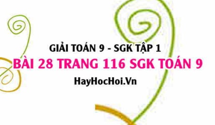 Giải bài 28 trang 116 SGK Toán 9 tập 1